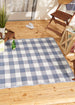 French Blue & White Buffalo Check Outdoor Rug 4X6 Ft