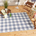 French Blue & White Buffalo Check Outdoor Rug 4X6 Ft