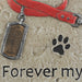 Forever My Best Friend - Pet Memorial Stepping Stone