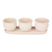 Cream Round Ceramic Small Planter Set of 3