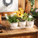 Cream Round Ceramic Small Planter Set of 3