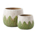 Greek Leaf Cement Flower Pot Set of 2