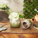 Greek Leaf Cement Flower Pot Set of 2