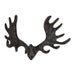 Moose Antler Wall Hook