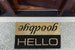 Hello Goodbye Doormat